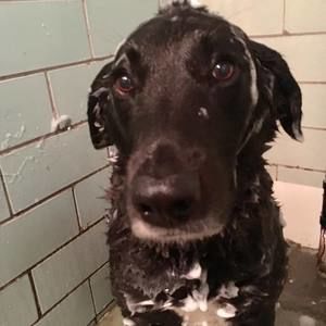 Meet your Posher, Stacey